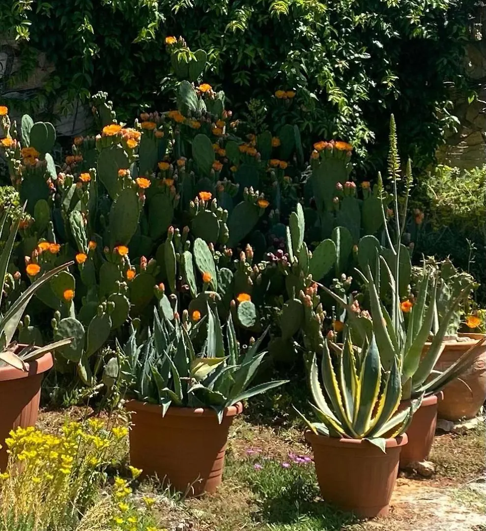 Holiday home Domos Selene Casa Delle Farfalle Tinjan